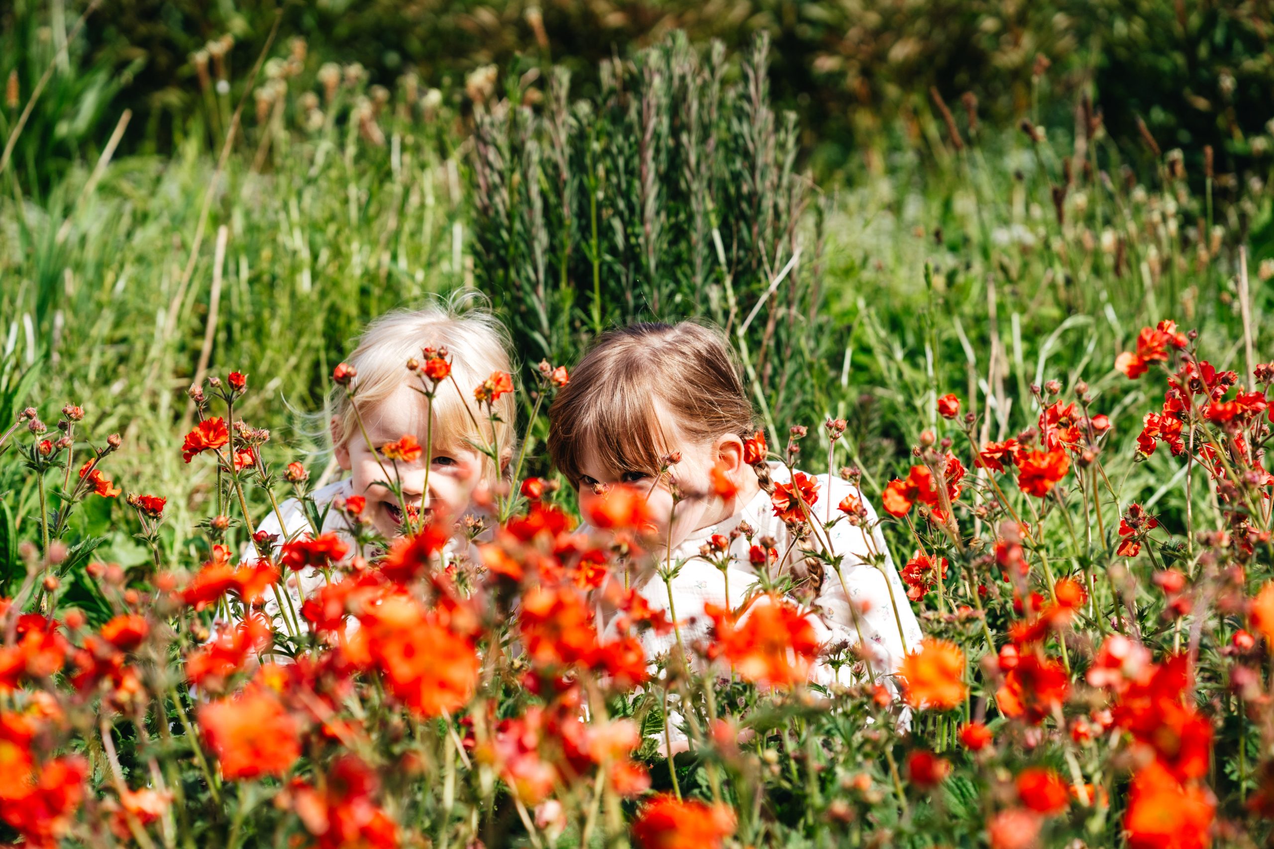 harriet_bird_photography_Macleod-24 Flower Farm Photoshoot South Devon